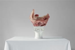 Ivan Caster | Photographer