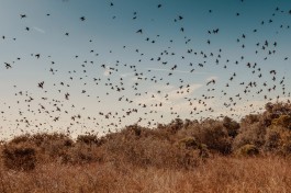 Ivan Caster | Photographer